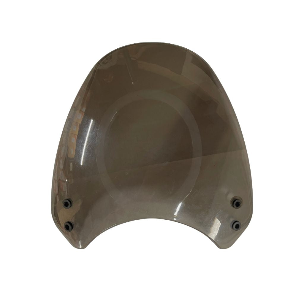 RE HUNTER VISOR (Tinted)