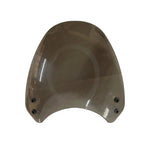 RE HUNTER VISOR (Tinted)