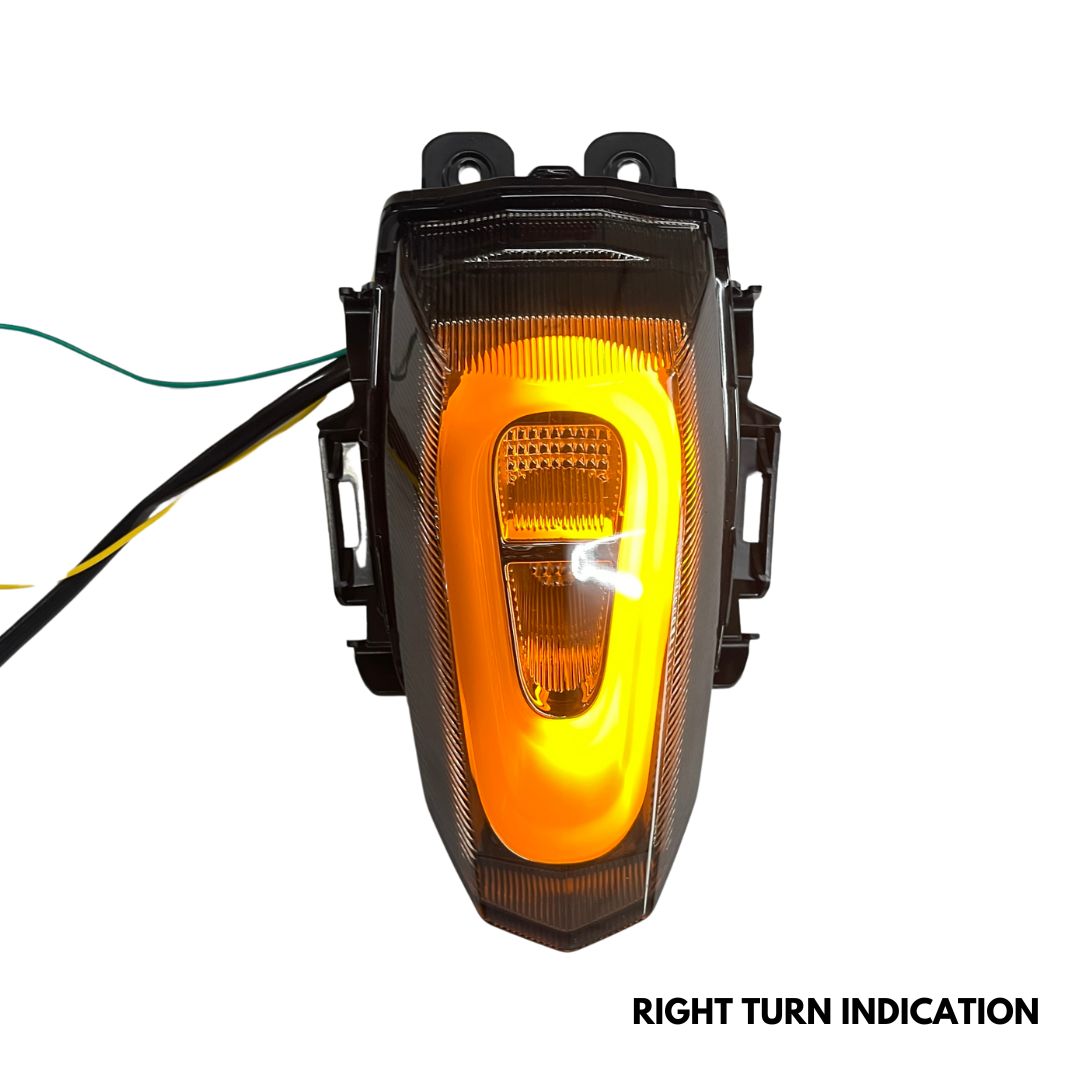 R15 V3 & V4 INTEGRATED TAIL LIGHT (BLACK BOX)