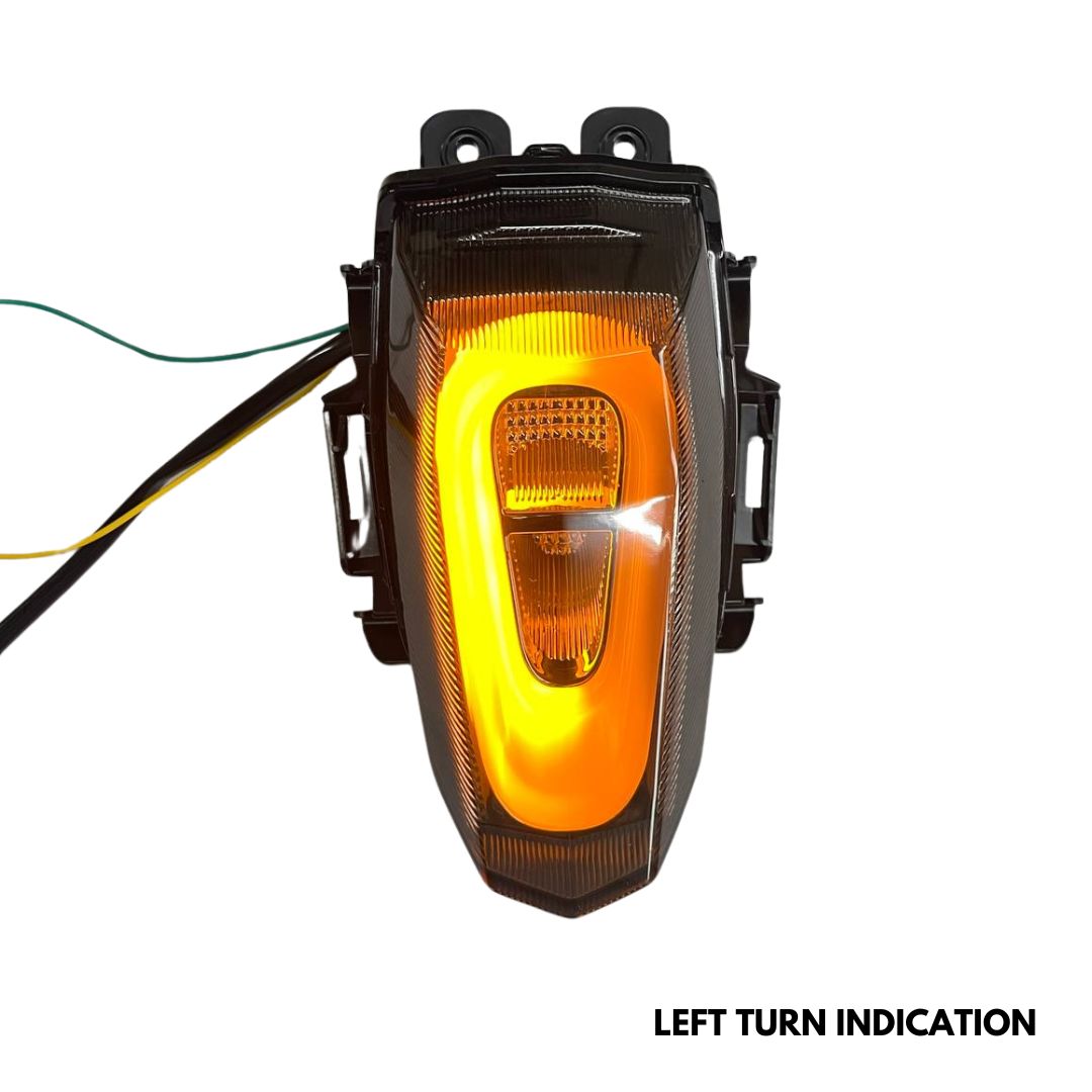 R15 V3 & V4 INTEGRATED TAIL LIGHT (BLACK BOX)