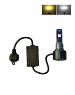 H/L LED BULB F30 50W AC/DC W/Y