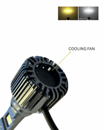 H/L LED BULB F30 50W AC/DC W/Y