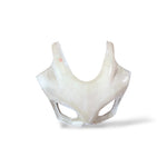 RS 200 MASK - DUCATI MASK (Unpainted)