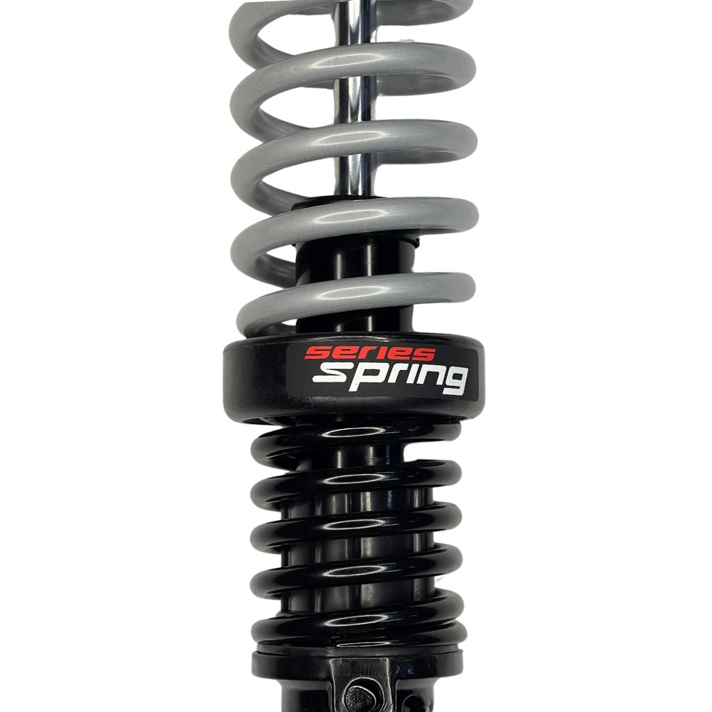 GABRIEL REAR SHOCK ABSORBER (PAIR) - Main Image
