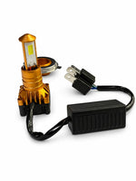 LGP GOLD PREMIUM HEADLIGHT BULB 40W (1 year Warranty)