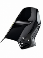 XPULSE 200 BLACK TOURING VISOR