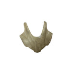 BMW MASK FOR PULSAR RS 200 (Unpainted)