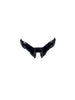 R15 V3 WINGLET 1.0